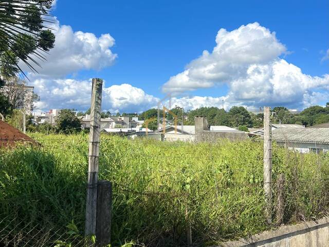 #103 - Terreno para Venda em Campos Novos - SC - 2