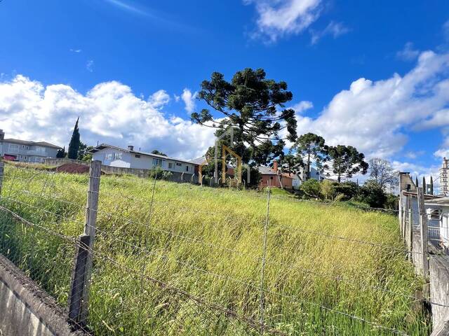 #103 - Terreno para Venda em Campos Novos - SC - 3