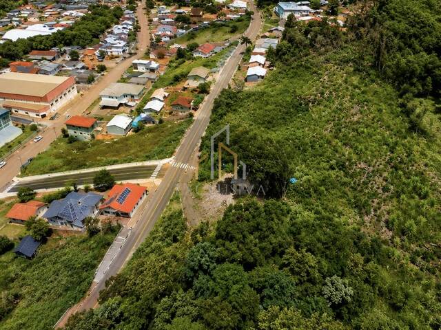 #146 - Chácara para Venda em Campos Novos - SC - 3